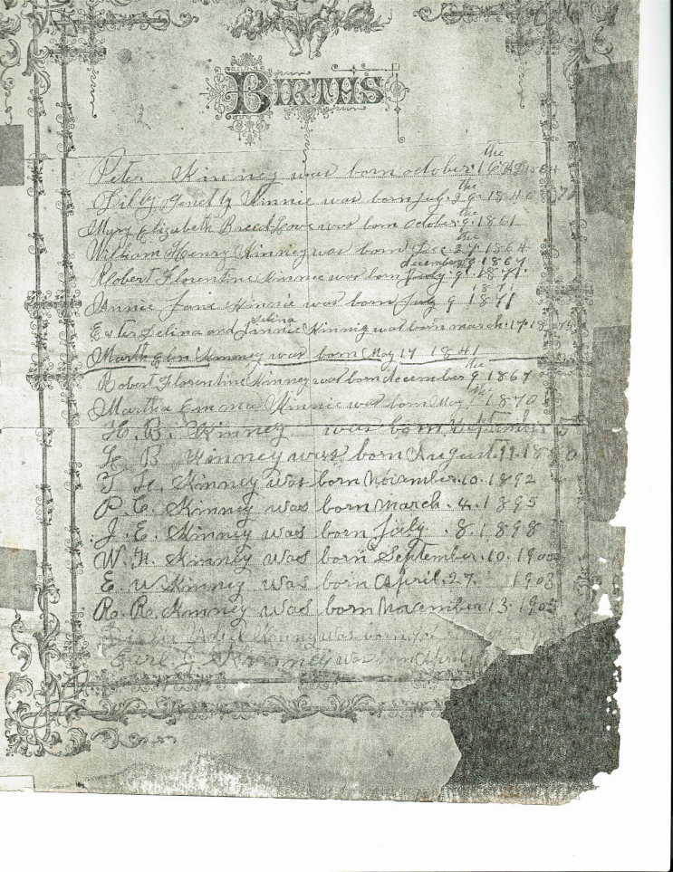 Births from the family bible