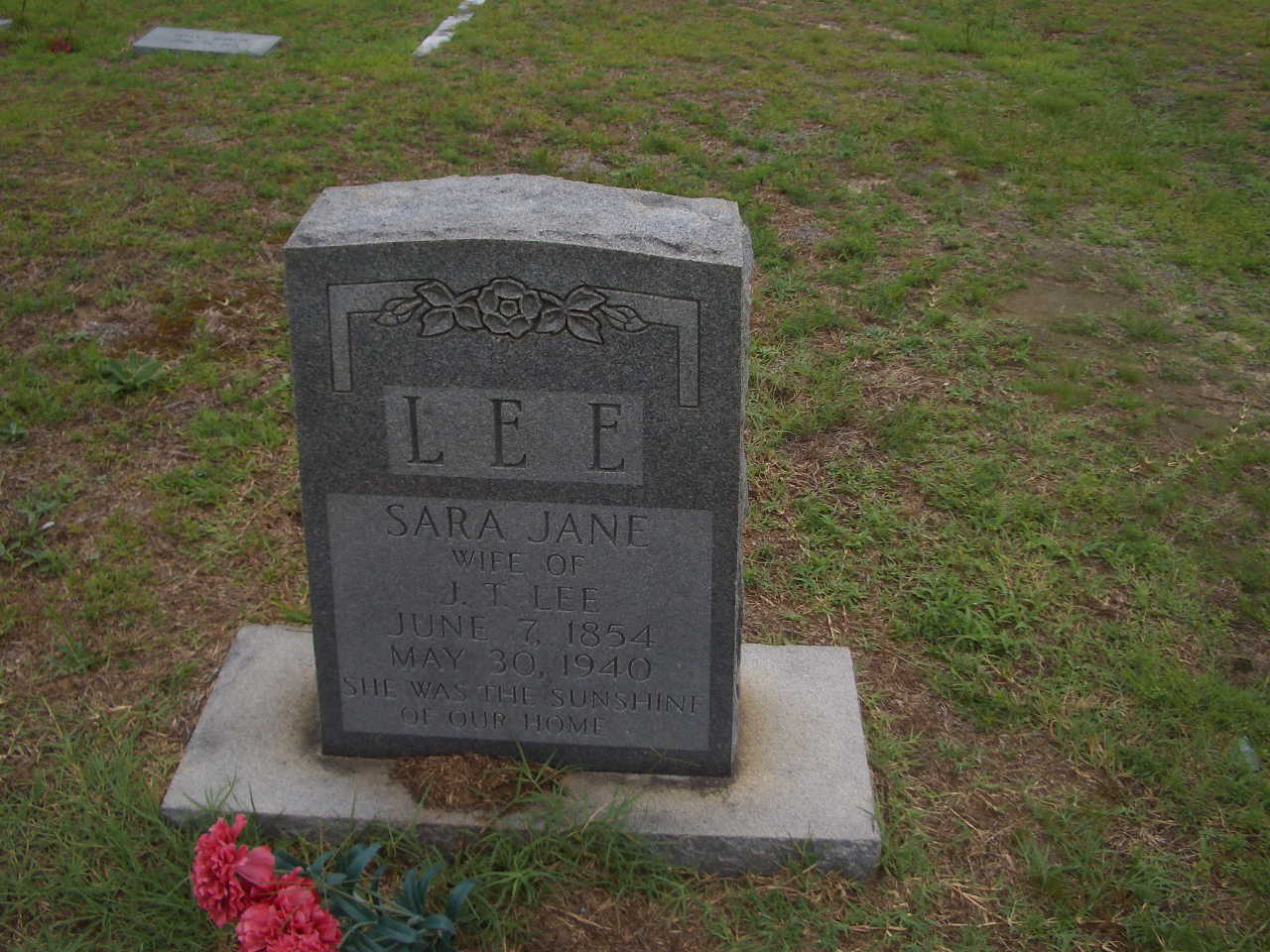 Sara Jane Lee shared by Mobil81